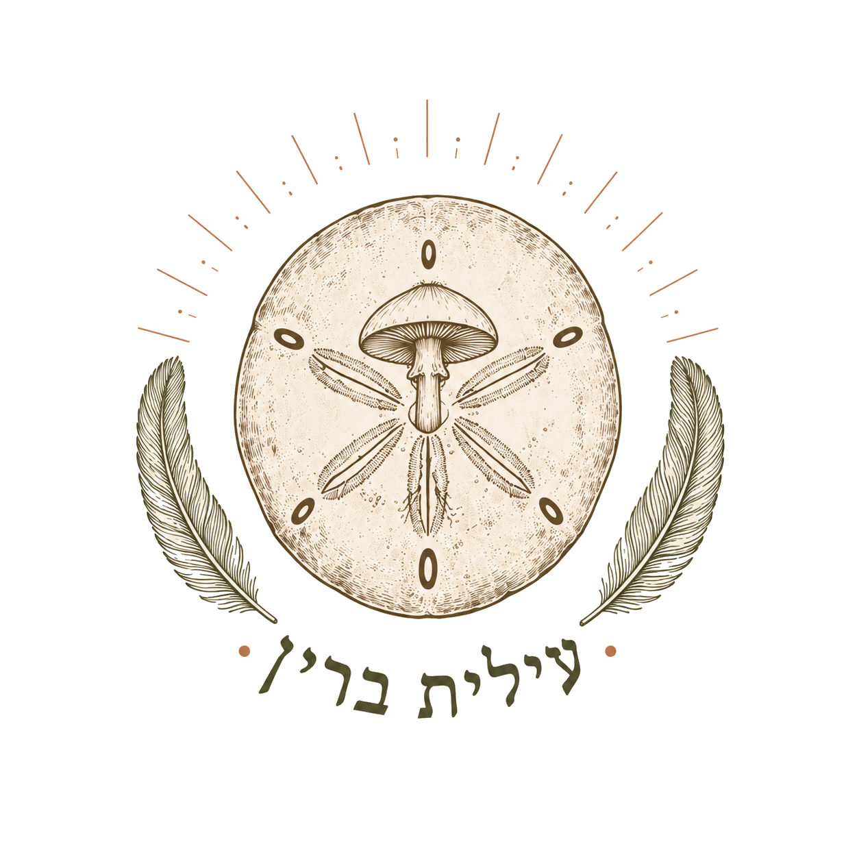עילית ברין